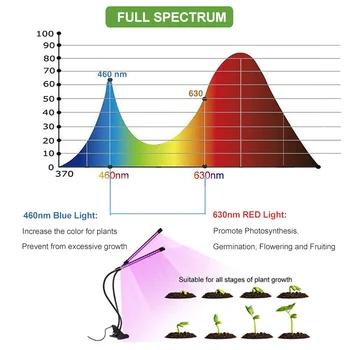 LED Grow Light фитолампа Ffs Lučka Za Obrat USB Časovnik Celoten Spekter Časovnik Rastejo Luči Za Sočna Sadik Doma Cvet Rastlin