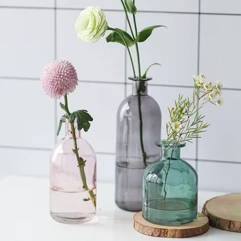 Vaza Dnevna Soba Posušeno Cvetje Nordijska Ins Slog Steklo, Prozorno Koper Dom Dekoracija Dodatna Oprema Vaze Za Homes