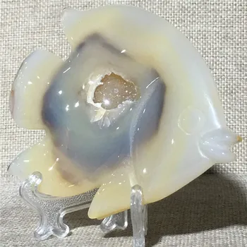 Naravni Agate Geode Quartz Crystal Darilo Doma Oprema Dekoracijo Obdelavo Kamna In Gemstone Reiki Zdravljenje Čaker DIY Ribe