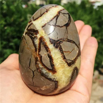 Novi modeli precej edinstven naravni septarium Kvarčni Kristal, kamen jajce Zdravljenje 1pcs