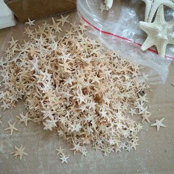 HappyKiss 100 kozarcev 1-2 cm 2-3cm Mini Zvezda Obrti Dekoracijo Naravnih obrti Morske Zvezde DIY Plaži Koči Poroko Dekor vroče novih
