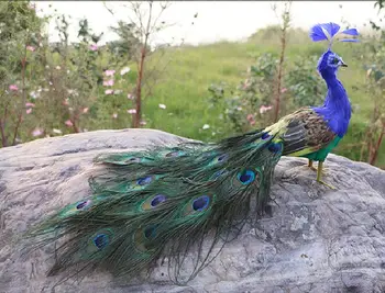 Resnično življenje igrača za ptice približno 45 cm lepa pav perje model ročne obrti, domači vrt Dekoracijo stranka rekviziti igrača h0559