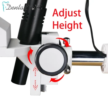 20X Povečava Zobni kateri je daljnogled Mikroskopom 5watt LED Vrtljiva za Zobozdravnikov Proteza Orodje Dental Lab Oprema za Mikroskope Spot Luči